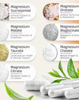 Illustration of magnesium supplements with labels on a gradient background